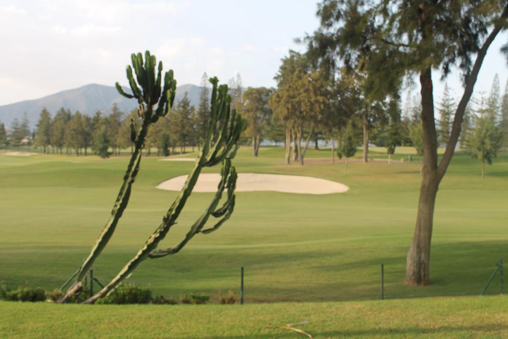 Hotel Tamisa Golf 미하스 외부 사진